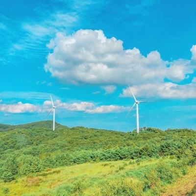 龙泣果盘游戏下载
